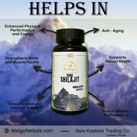 Pure Shilajit Capsule | Pure Shilajit | Shilajit | Pure Shilajit Tablets | Pure Himalayan Shilajit | ayurvedic herbal products |herbal powder |ayurvedic medicines |ayurvedic projucts | herbal products | organic medicines |natural | ancient remedies | herbal supplements | herbal wellness | ayurvedic ramedies | herbal formulations | herbal health solutions | natural health support |Himalaya | Dabur | Patanjali AYURVEDIC TABLETS |100% AYURVEDIC | AYURVEDIC MEDICINE | ORGANIC PRODUCT | PURE AYURVERDA | 100% PURE AYURVEDA | Powder|bhriguherbals.com