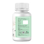 gastric 2