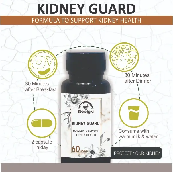 Kidney Guard | Kidney Guard tablets | Kidney tablets | Kidney health tablets | ayurvedic herbal products |herbal powder |ayurvedic medicines |ayurvedic projucts | herbal products | organic medicines |natural | ancient remedies | herbal supplements | herbal wellness | ayurvedic ramedies | herbal formulations | herbal health solutions | natural health support |Himalaya | Dabur | Patanjali